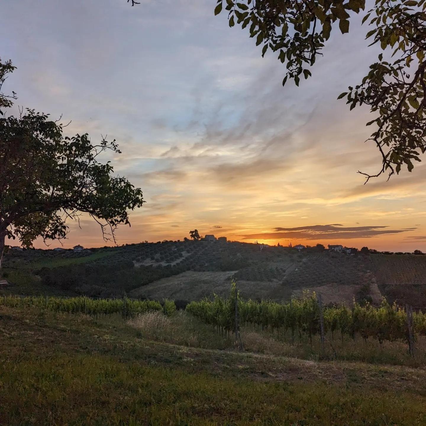 Agriturismo Torre Mannella - La Loggia Читта-Сант'Анджело Екстер'єр фото